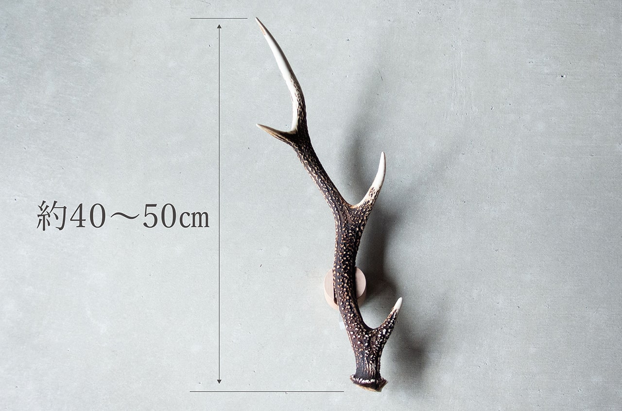鹿の角 6本セット売り 鹿の角 6本 鹿の角 B16-