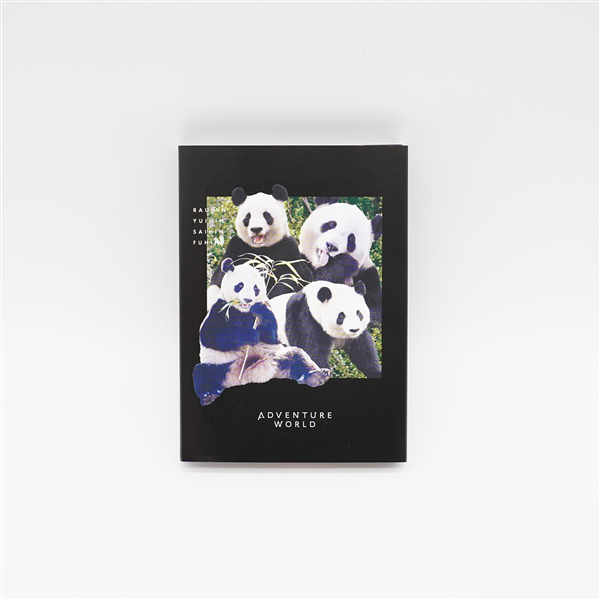 マーティンワトソン パンダ PANDA ED250 2020年作品 gp購入 Martin