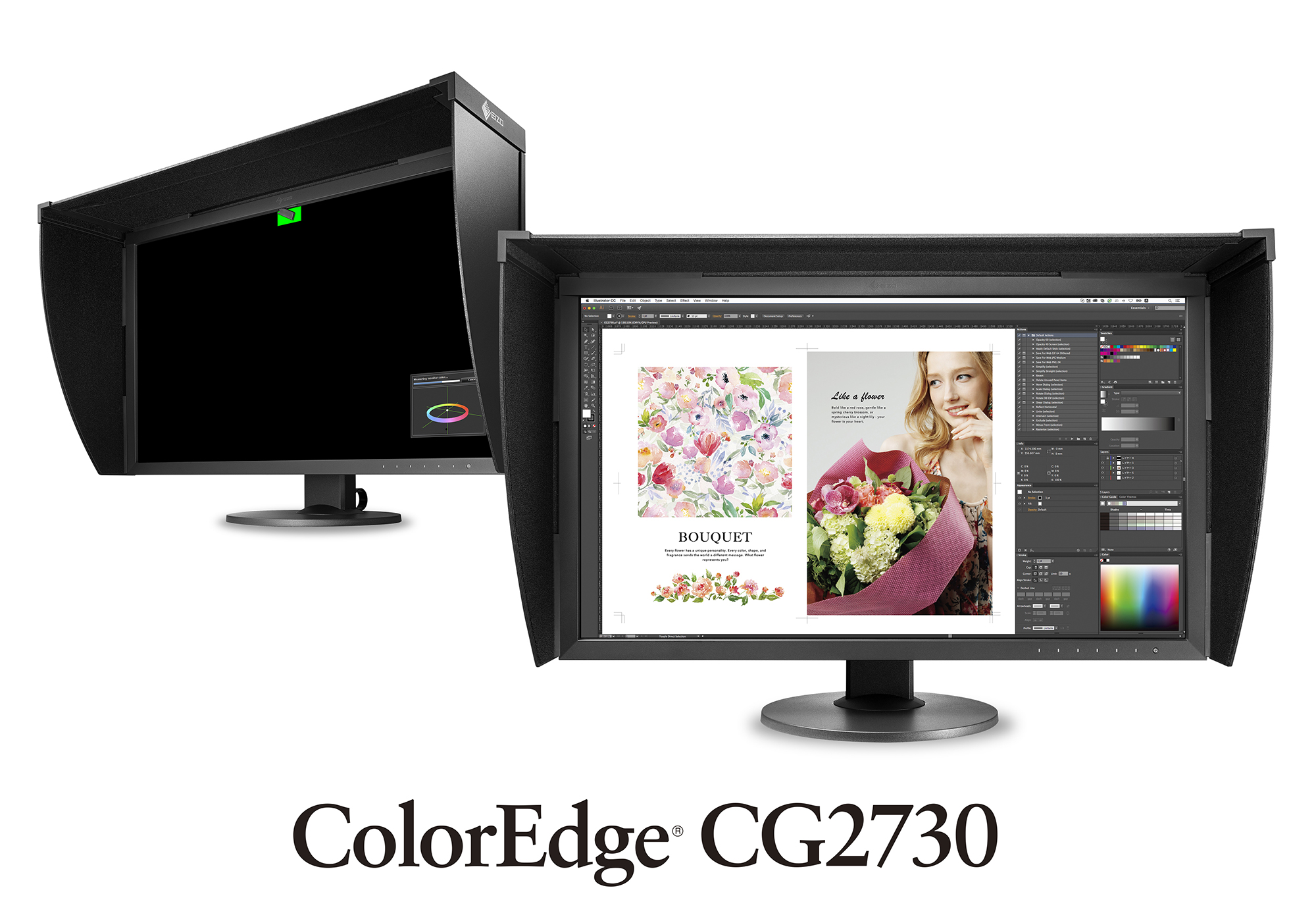 ColorEdge CG2730 | 艺卓 EIZO ColorEdge CG2730 27型モニター 2k 内蔵