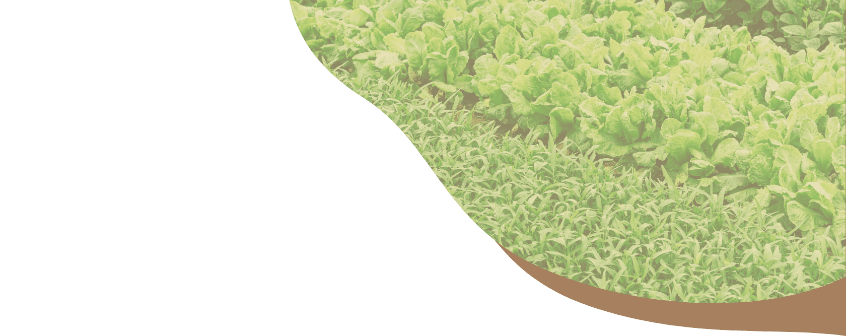 Defender Love】【6キロ】ELMO ORGANIC 1歳〜 compass1701486616.jpg