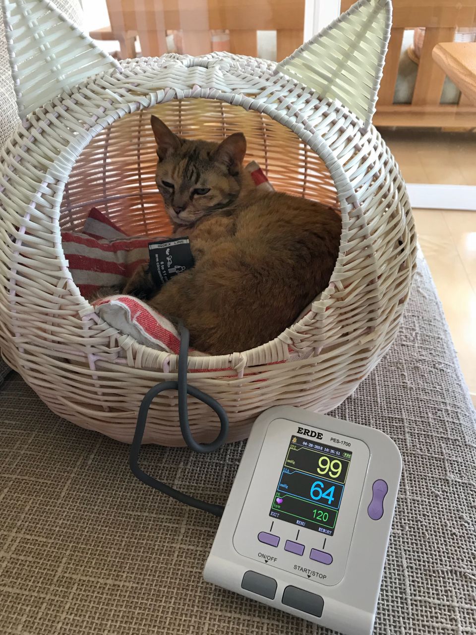 エルデ ペットの血圧計 / TOPページ