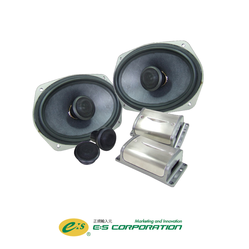 XS69 – E:S CORPORATION