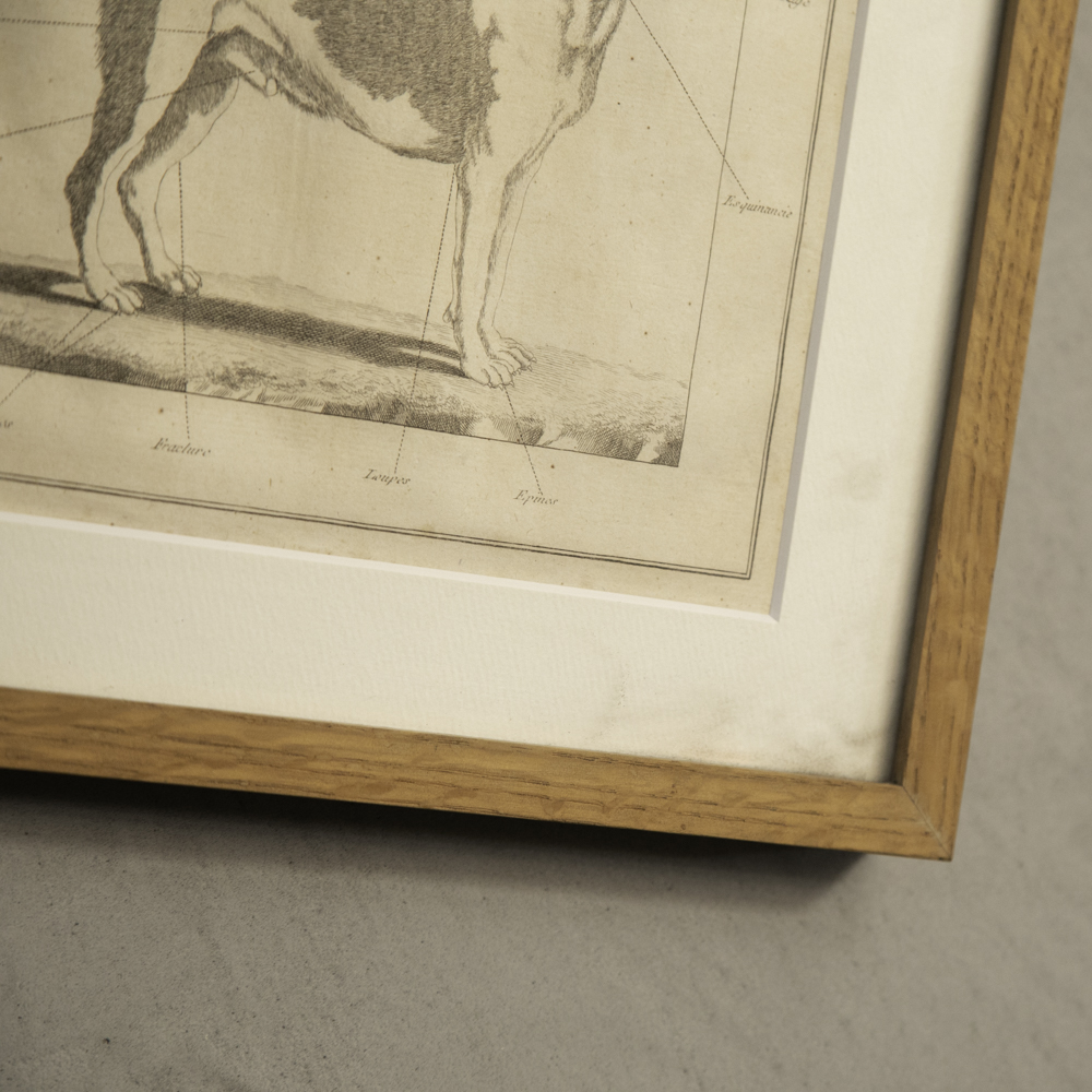 アンティーク 銅版画 – フランス、ヨーロッパのアンティーク