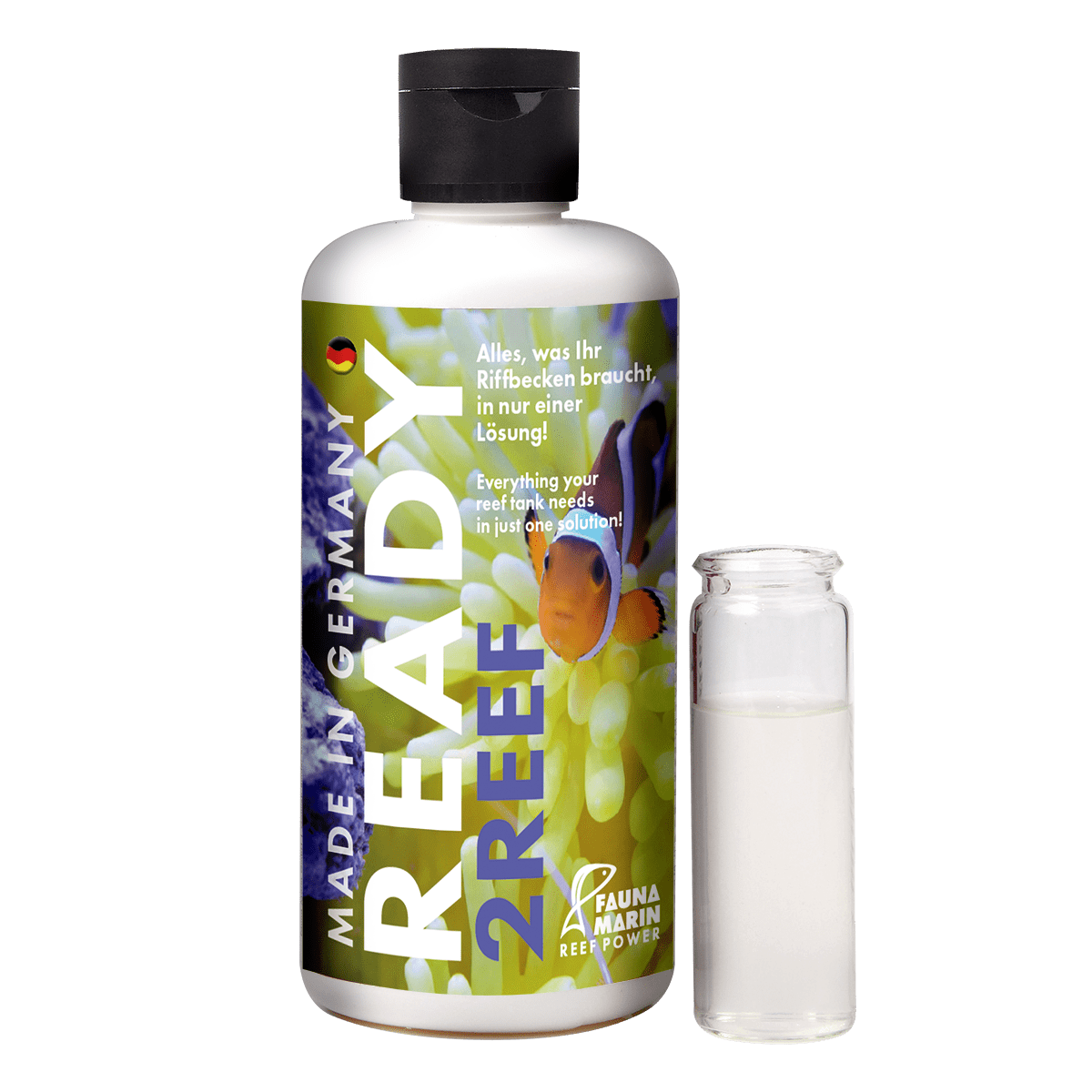 Ready2Reef - Fauna Marin
