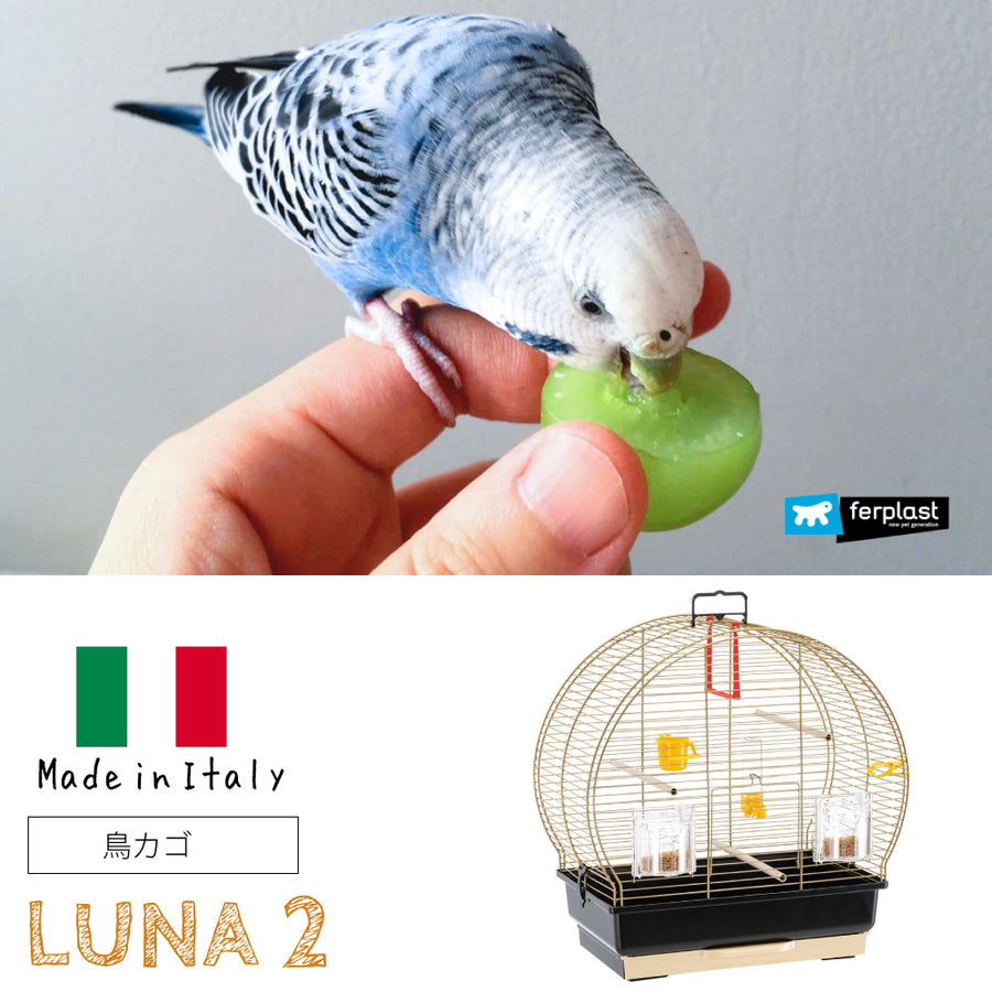 オウムインコ類マニュアル」学窓社 【公式通販】