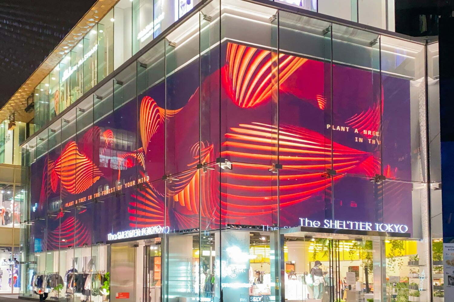 原宿「ザ シェルター トーキョー」がリニューアル、花屋やアート