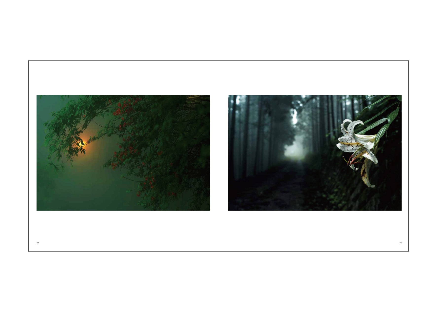 Dear Silence-静寂の森- – Takumichi Seo Fine Art Place