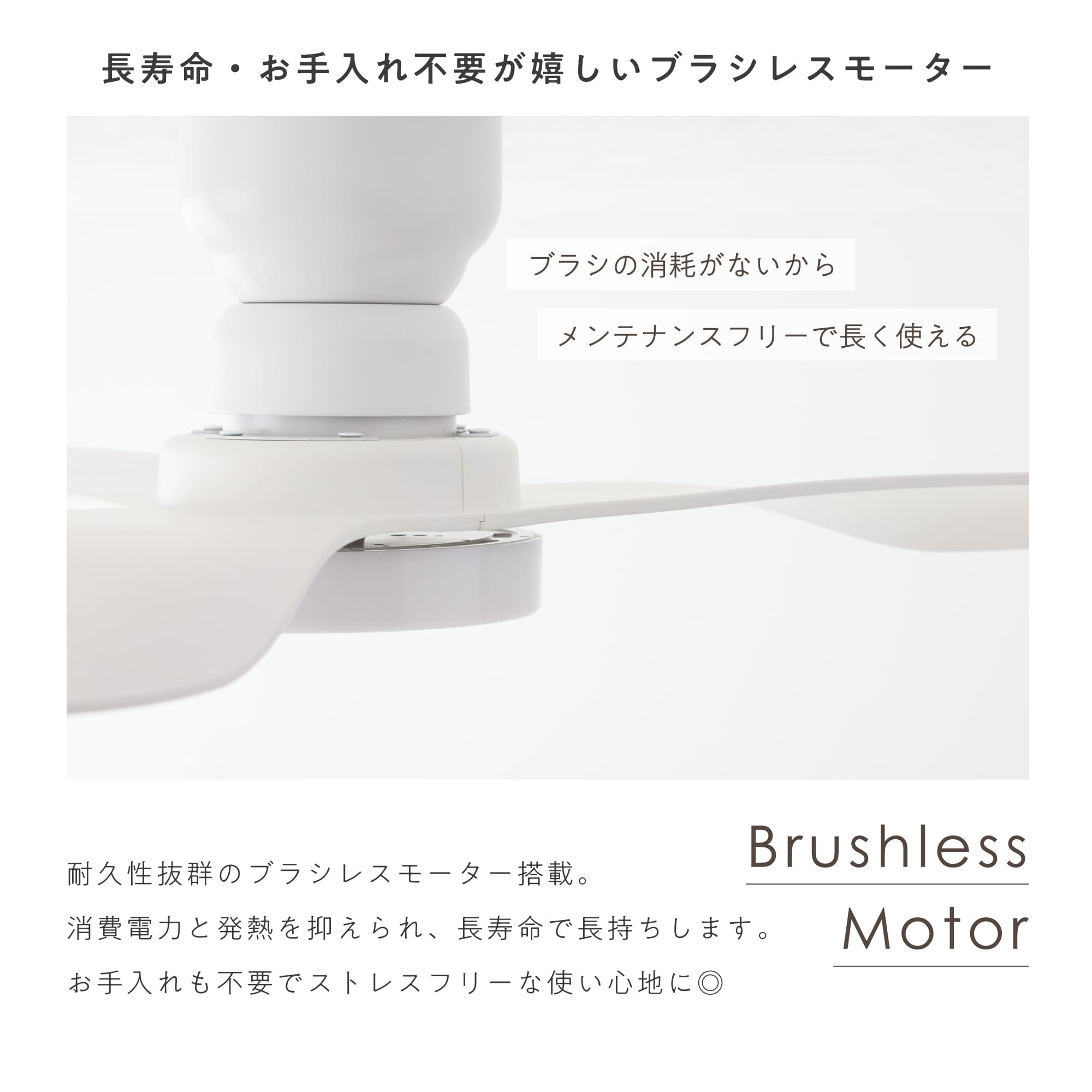 あす着] シーリングファンライト LED リモコン付 DCモーター 節電 天井