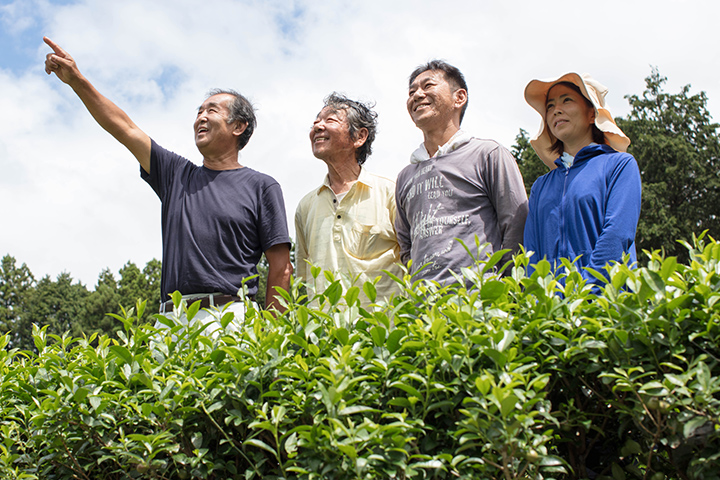 無農薬・自然農法・有機農産物などの産直通販 ふるさと21 / するが有機