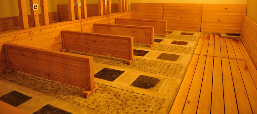 アウトレット セール 通販生活家電・空調 - 【美品】 湯の花 癒とり