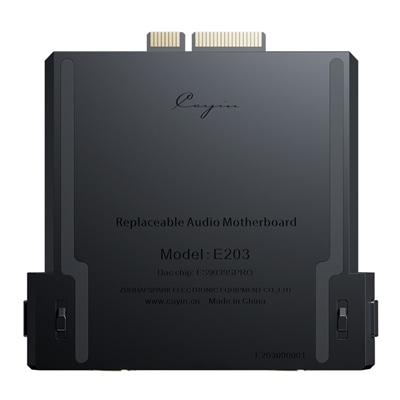 Cayin R202オーディオマザーボード for N6iii [R202] 新品｜フジヤ