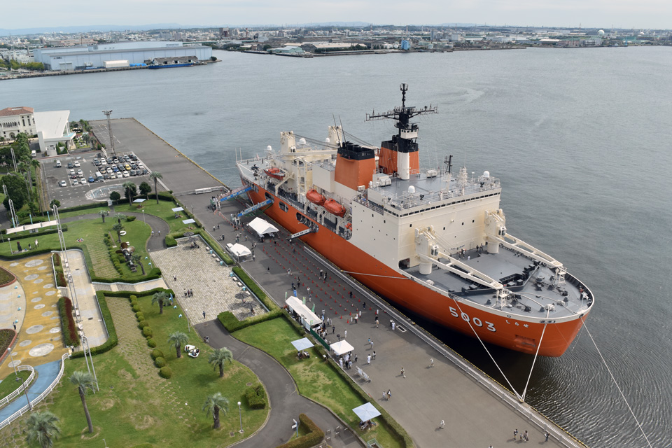 南極 南極の石 しらせ 昭和基地 南極観測船 ふじ Amazon.co.jp: 南極