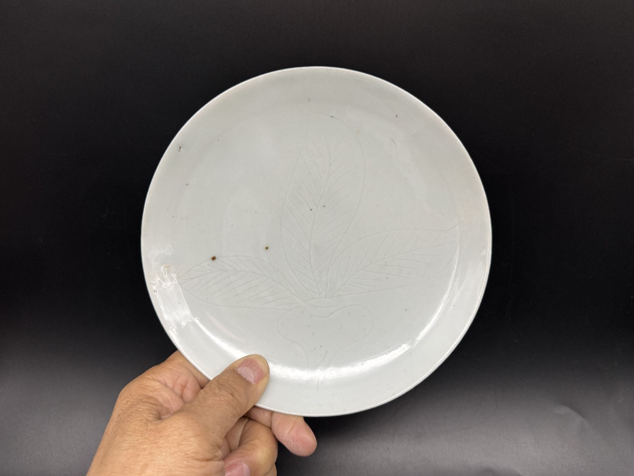 白い陶器の小皿 初期伊万里 古伊万里 白い陶器の小皿 初期伊万里 古