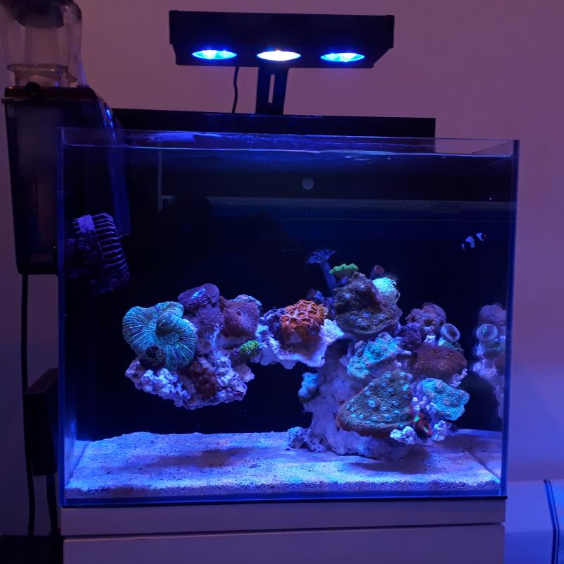 ORCA SHELLⅡ 水槽 シェルⅡ|ORCA｜MMC企画 レッドシー事業部