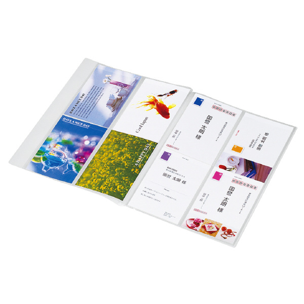 ポストカードファイルα（ノビータα)A4・5枚（40ポケット） | コクヨ