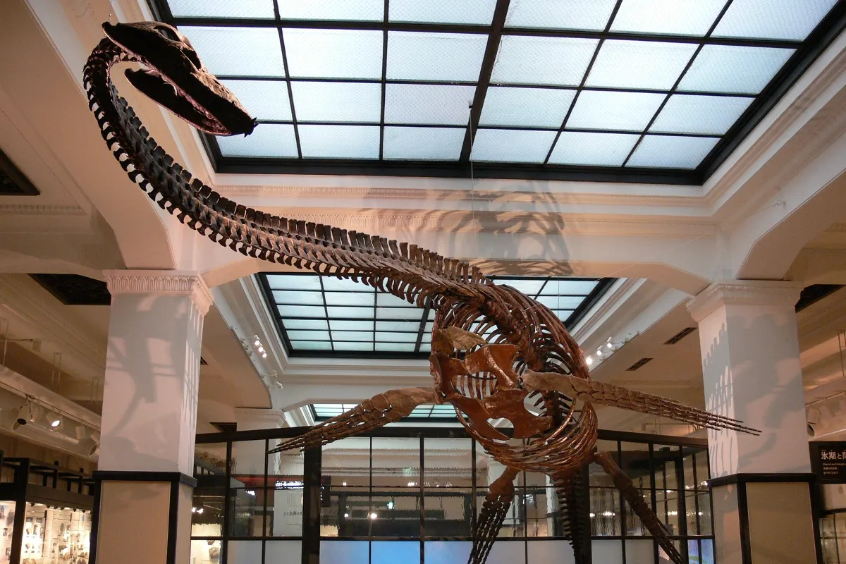 展示 TOP | 国立科学博物館 National Museum of Nature and Science,Tokyo