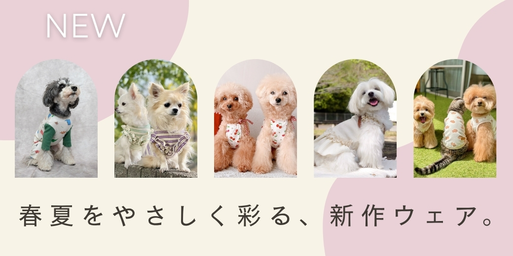 犬服ハンドメイドくまレオちゃん様専用 犬服ハンドメイド♡くまレオ