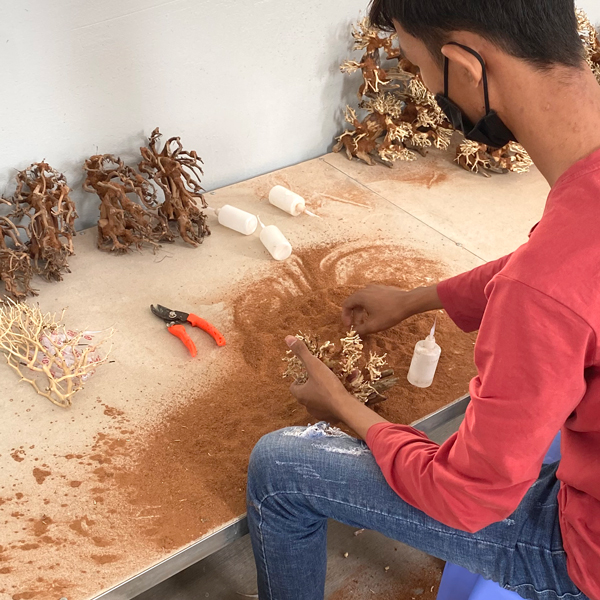 KBO 水景BONSAI（盆栽流木）を使って簡単に本格的な流木レイアウトを