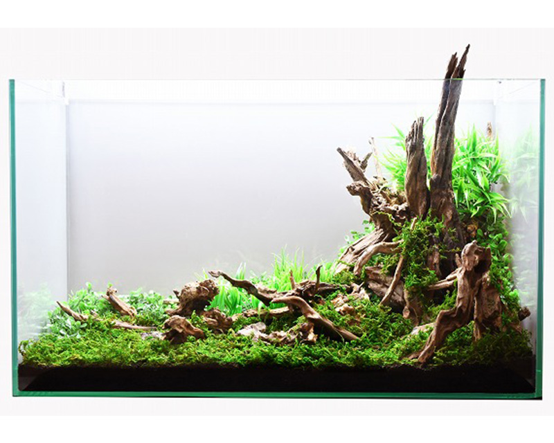 ADA ホーンウッド 流木2