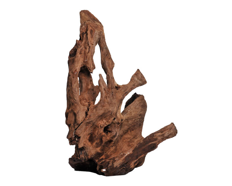 セレクト流木：石・流木 ～神畑養魚株式会社～