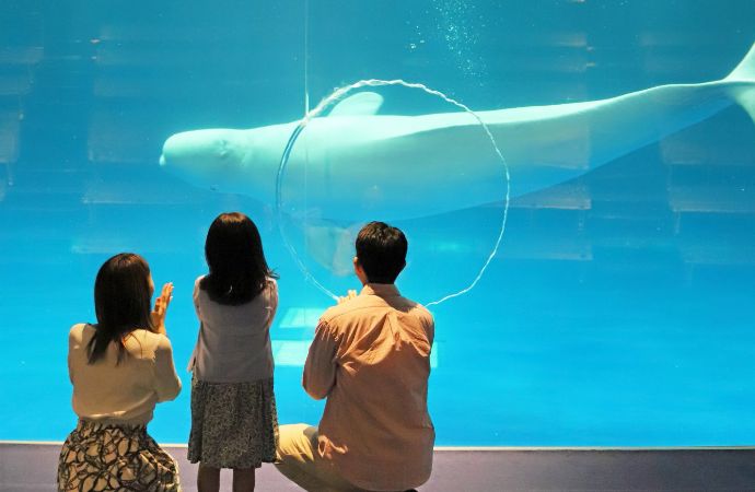 浜田江津エリア | しまね観光ナビ｜島根県公式観光情報サイトしまね
