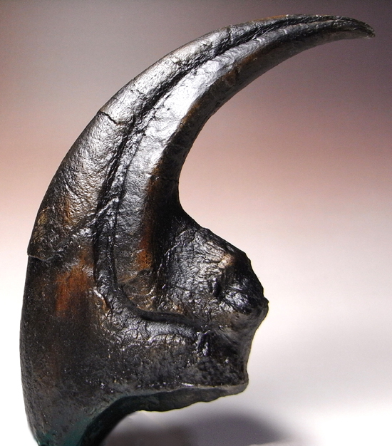 アロサウルス 爪 化石 レプリカ 約171.62mm arr17 【公式通販】