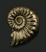 thumbnail2.webp