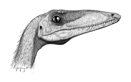 恐竜の歯コレクターなら押さえておきたい！恐竜大繁栄の先駆けとなった