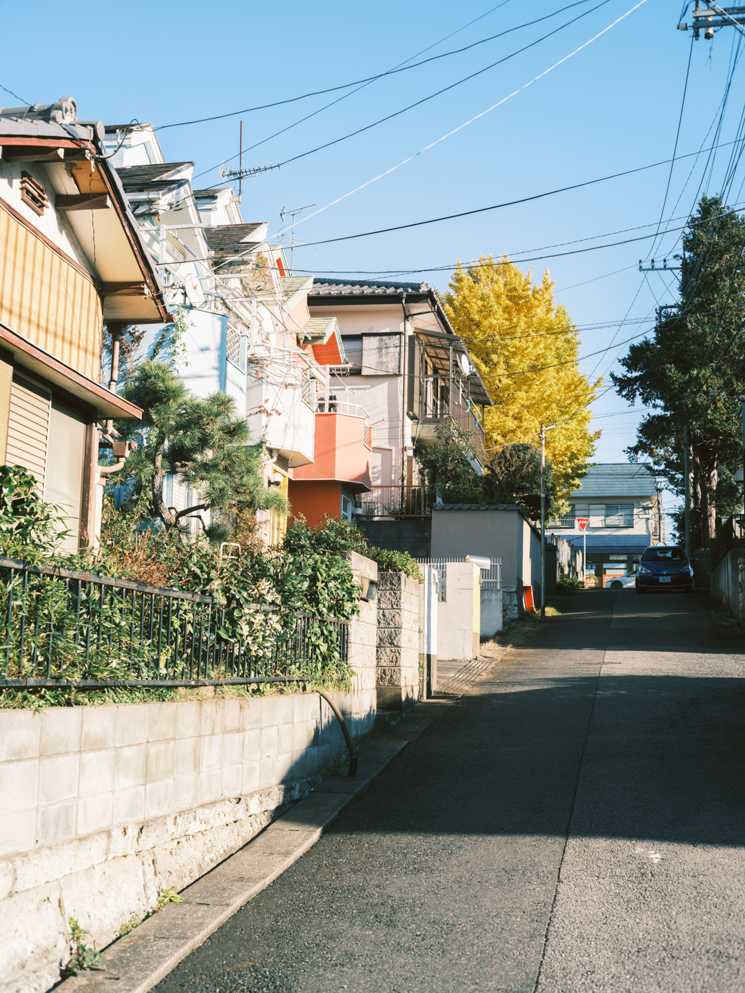 オールドレンズを始めよう！作例編Vol.5：Super-Takumar 55mm F1.8で