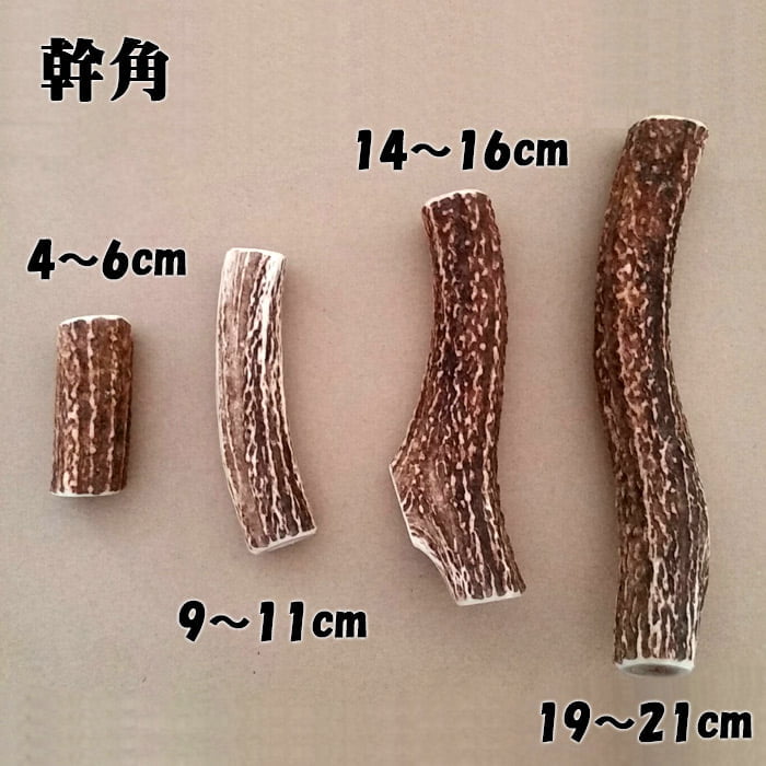 鹿角】おまかせ 幹角 4cm〜6cm 用途自由 ペットおもちゃ、アクセサリー