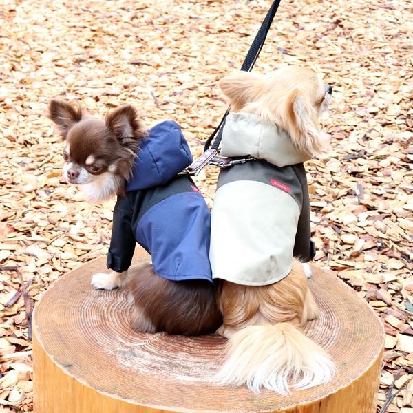 マウンテンパーカー（ベージュ×カーキ） ※防水・防風機能あり アウター