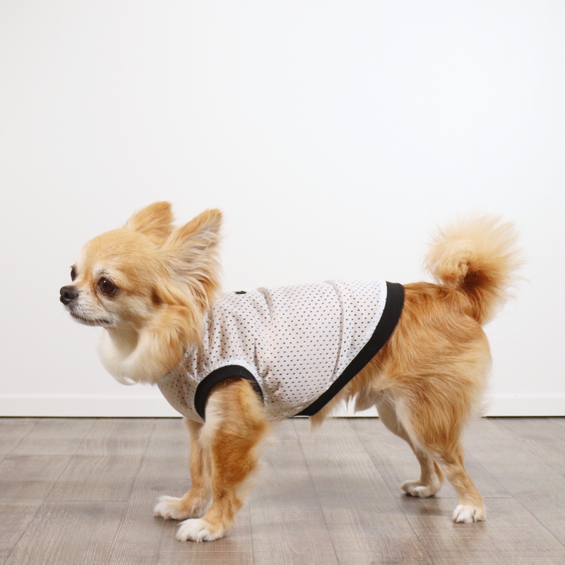 犬服ハンドメイド タンクトップ(かめこんぬ☆様 専用) ストア 犬服