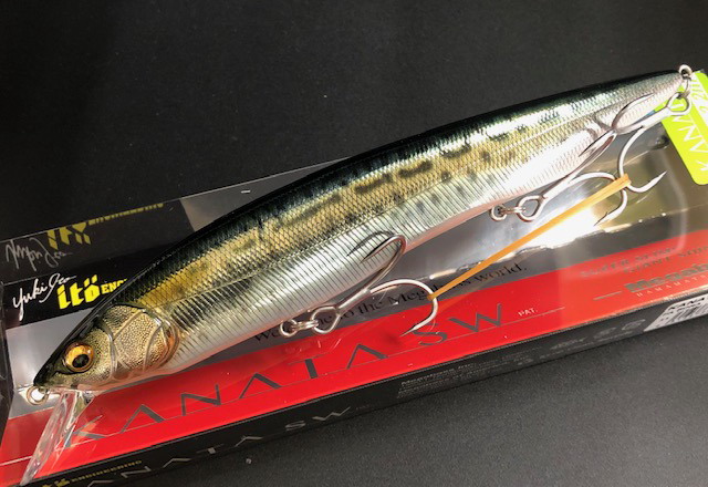 コロンビア産特大レモイネイトゲウスバカミキリ81mm