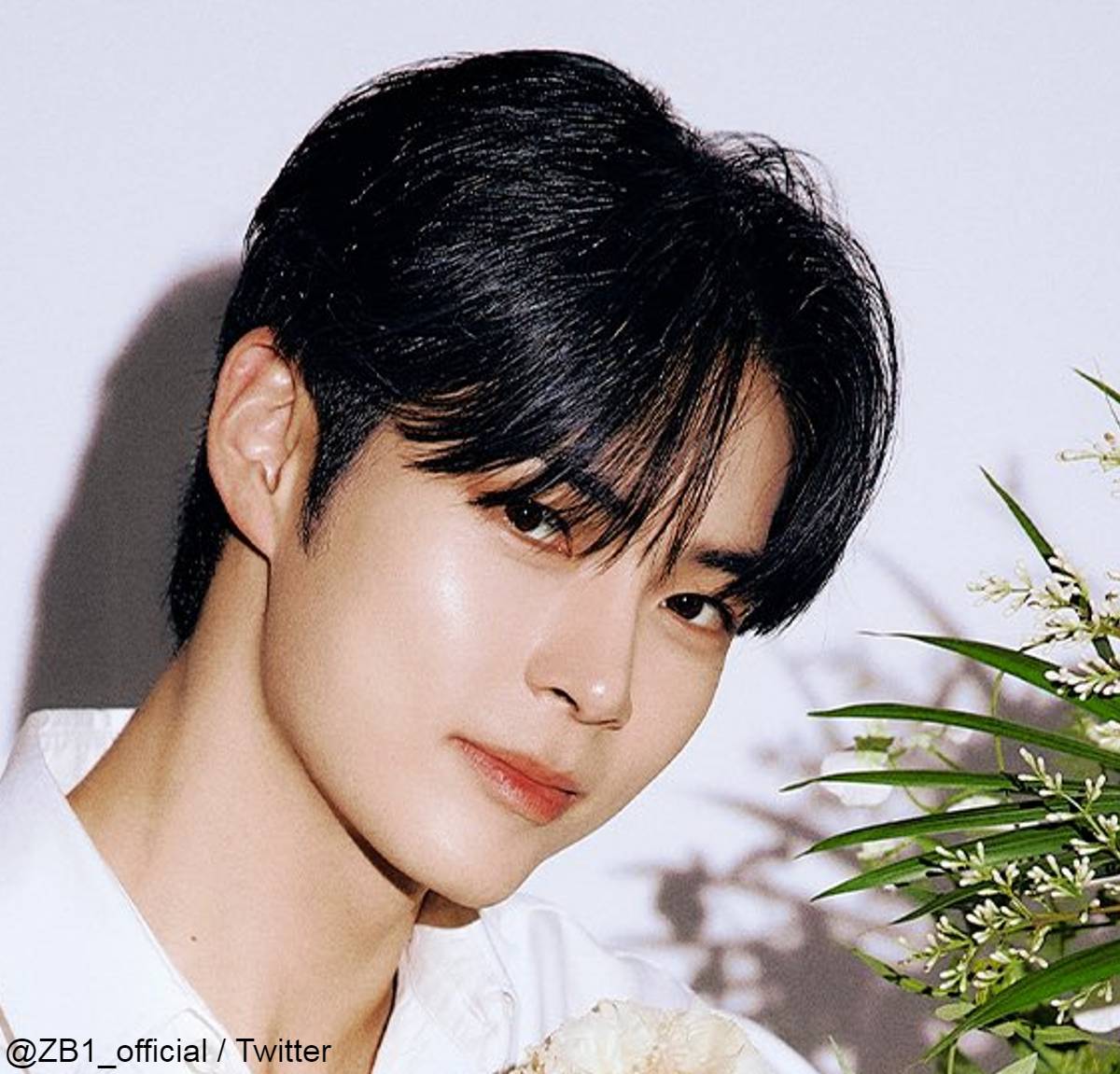 zb1 ゼベワン トレカ サノク ハンビン ソンハンビン ZEROBASEONE ZB1