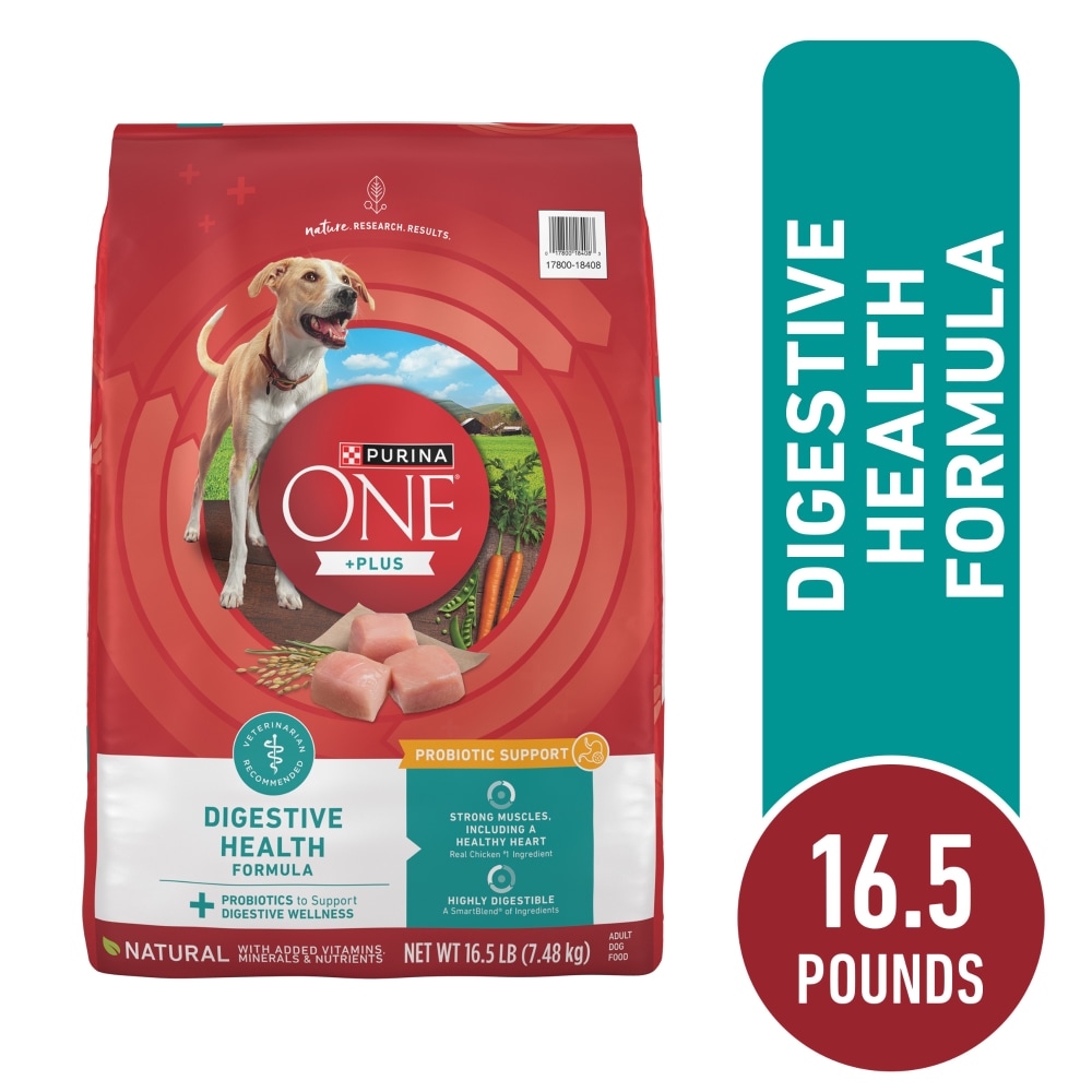 Purina ONE +Plus Digestive Health Adult Dry Dog Food Real Chicken