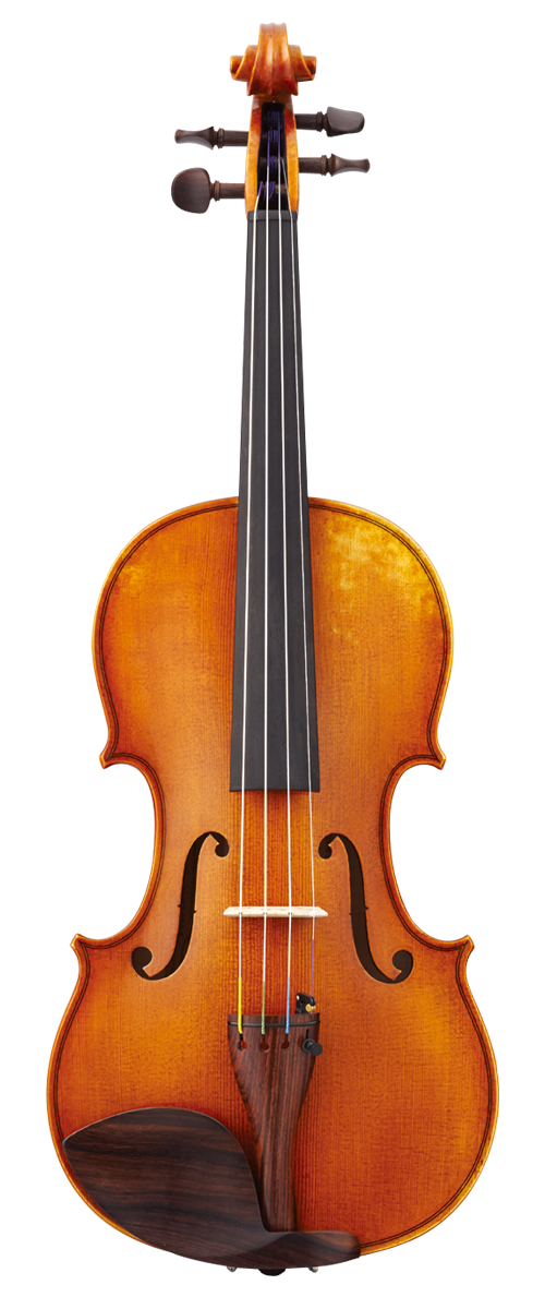 Roderich Paesold 806 バイオリン 4/4サイズ Roderich Paesold 806
