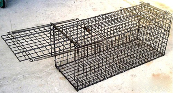 エサ取付扉つき 小動物捕獲器」イタチやハクビシン、ヌートリアの被害