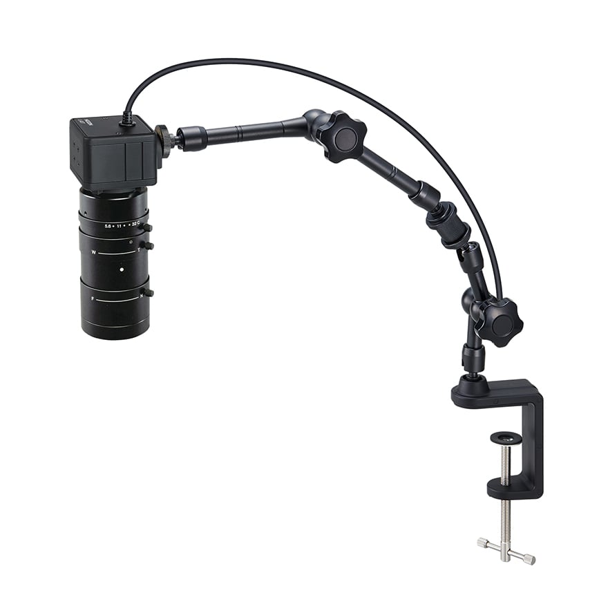 ミャンマー産スキットゴホンヅノカブト65mm