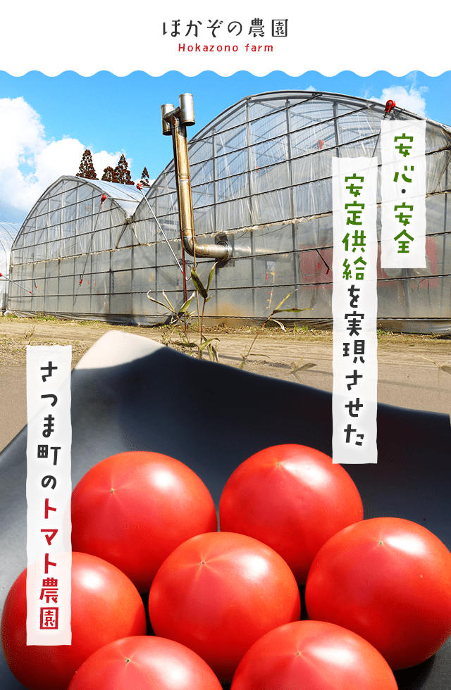鹿児島県さつま町にあるトマト農家【ほかぞの農園】