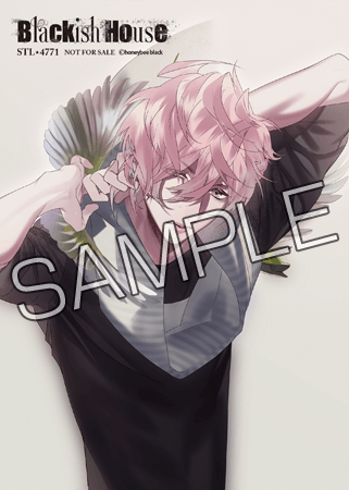 Blackish House アクリルブロック 9点 ブラハ カフェ Blackish House