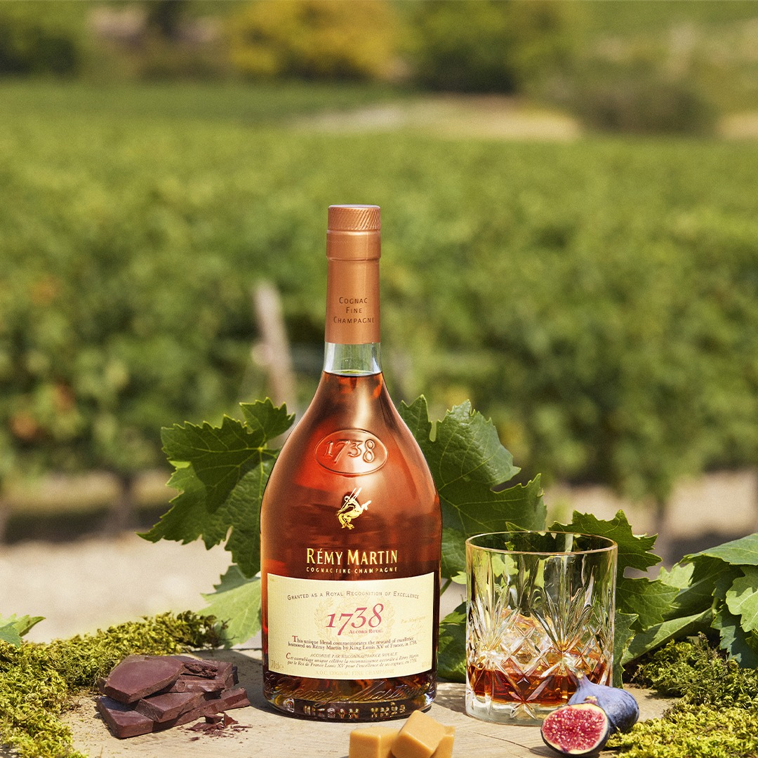 REMY MARTIN VSOP レミーマルタン VSOP 1000ml コニャック ブランデー