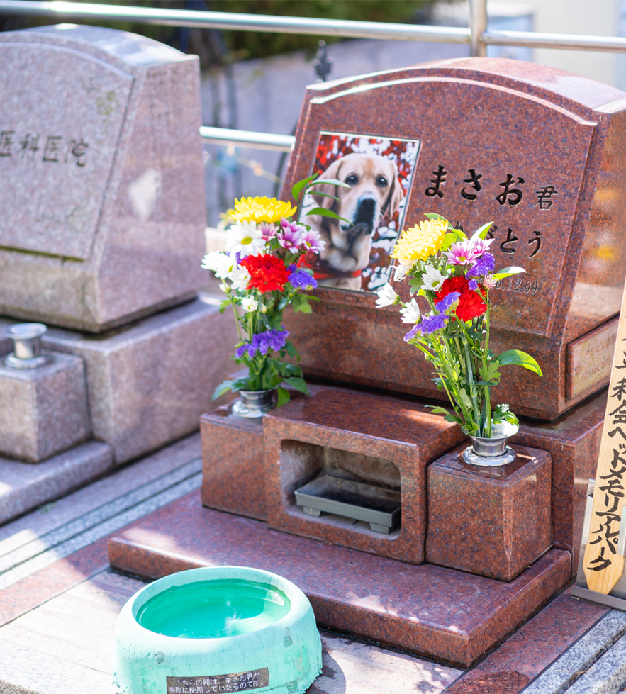 単独納骨／洋風墓所 | 【公式】創業昭和23年 ペット葬儀・火葬・供養は