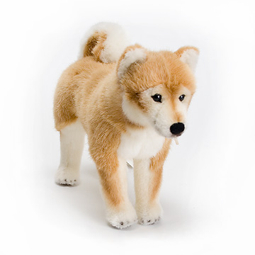 5750 柴犬：おもちゃ：百町森