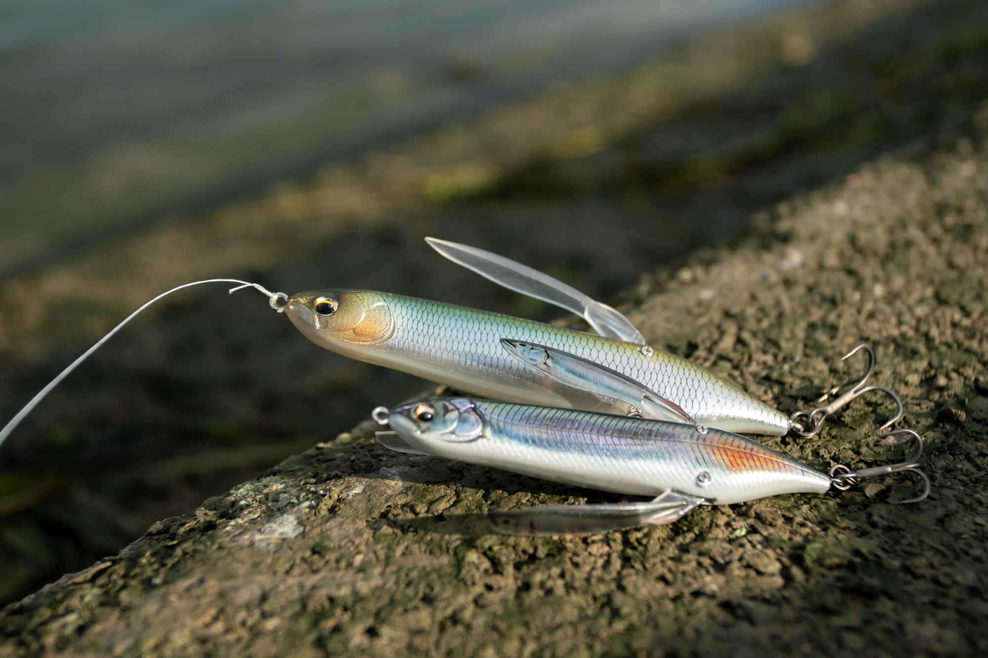 ベルセルク ダイバ】パピンチョパペッピポ ベルセルク シールケ