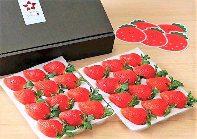 おじゃましま〜す Vol.237 『かがやきいちご園』さん | おじゃましま