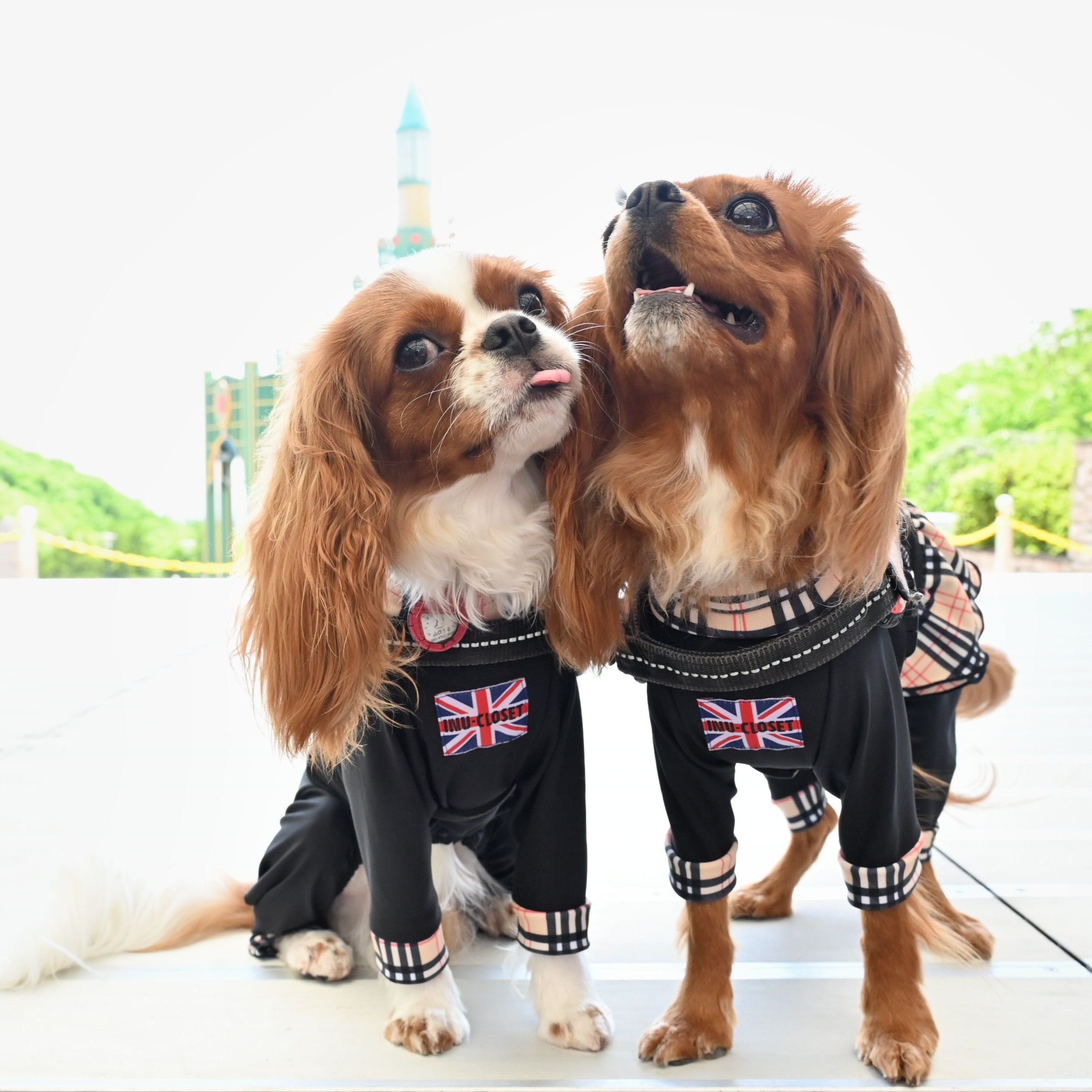 ☆9月新作☆【キャバスーツFRILL】Old Street（オールドストリート