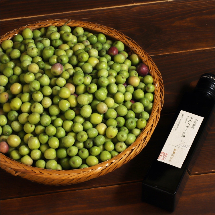 井上司「オリーブの木と海 」油彩F8