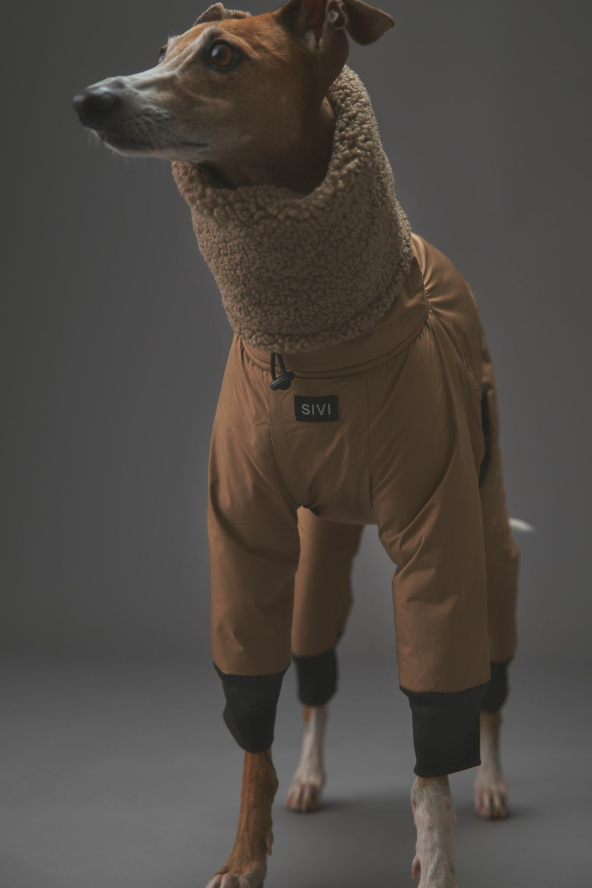 イタグレ スノースーツ 激安