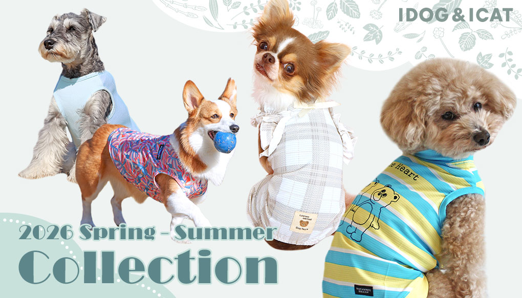 ハンドメイド犬服の個人ブランド | yuwawa | 小型犬・チワワが一番