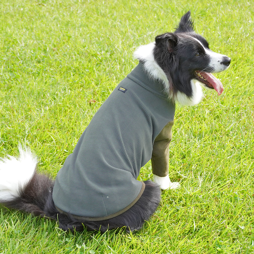 オーダー】おおきな苺のハイネックロンT犬服